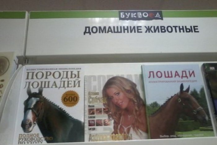 Юмор на полках книжных магазинов (20 фото) Юмор на полках книжных магазинов (20 фото)