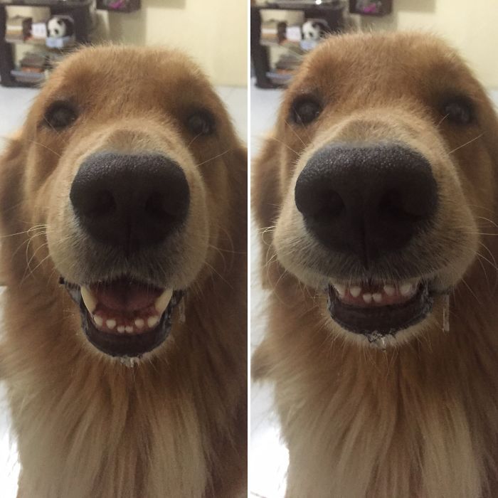 ,       (27 )