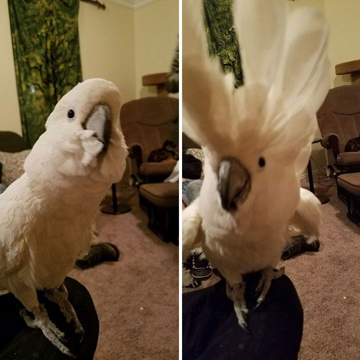 ,       (27 )