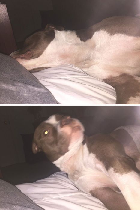 ,       (27 )