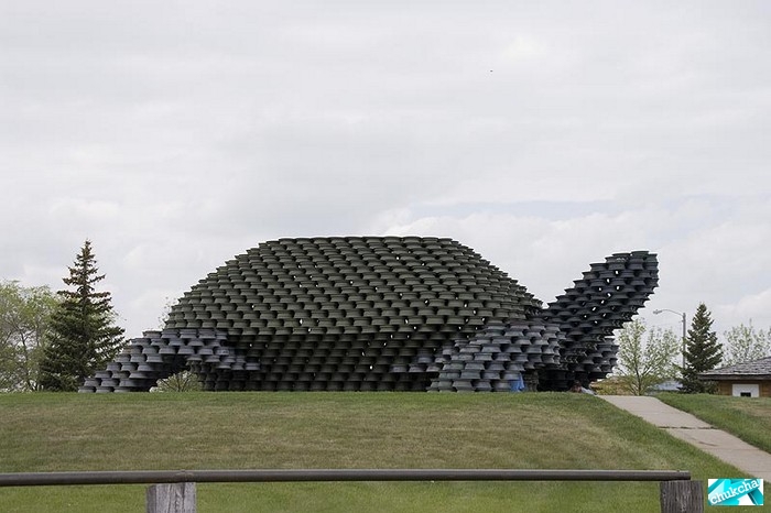 Необычная огромная черепаха (6 фото) Необычная огромная черепаха (6 фото)