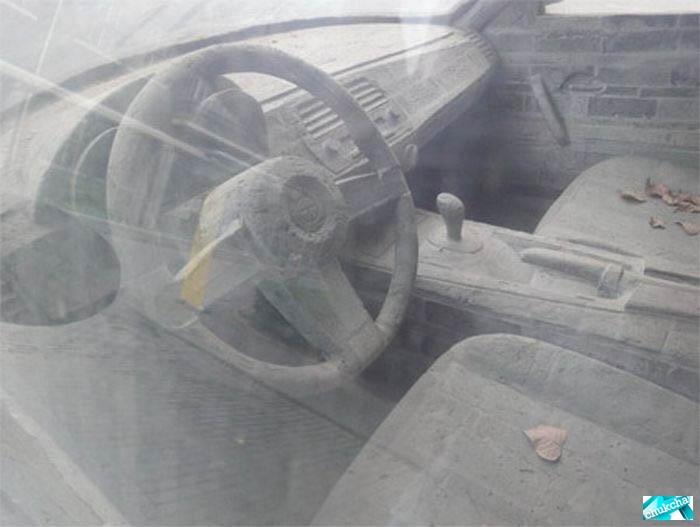  BMW (6 )