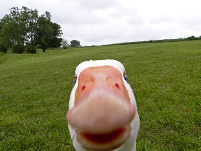     (48 )