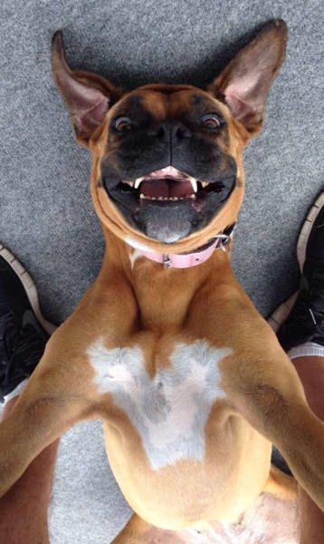    (48 )