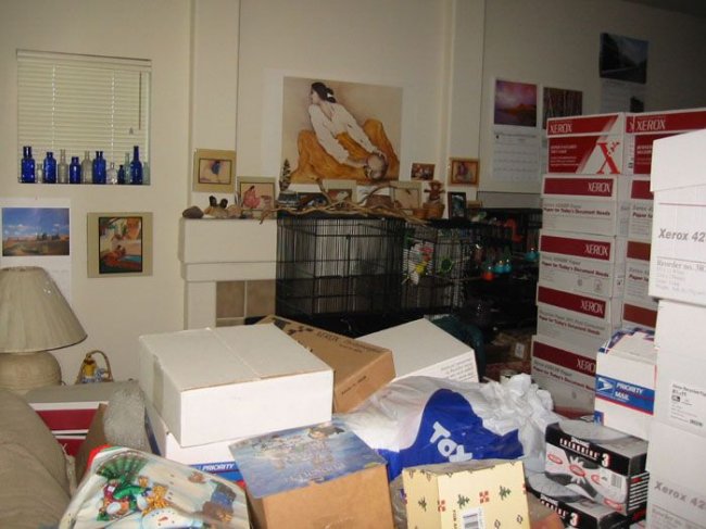  Ebay (21 )