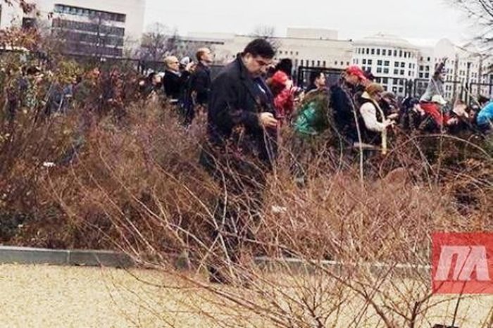 Саакашвили в кустах на инаугурации Трампа (2 фото) Саакашвили в кустах на инаугурации Трампа (2 фото)