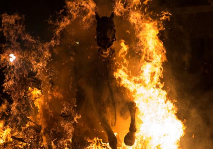      Las Luminarias (13 )