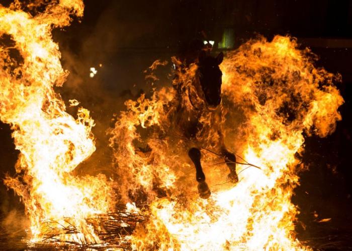      Las Luminarias (13 )