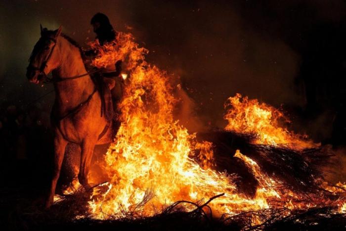 Огненные всадники на испанском фестивале Las Luminarias (13 фото) Огненные всадники на испанском фестивале Las Luminarias (13 фото)
