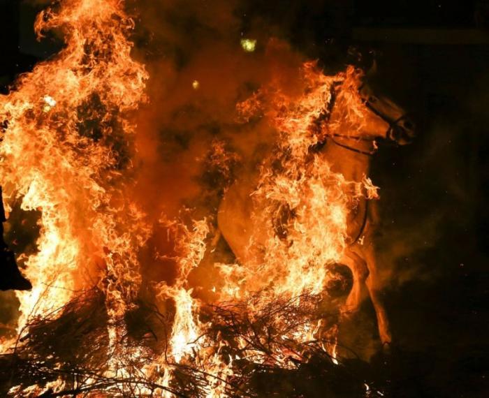      Las Luminarias (13 )