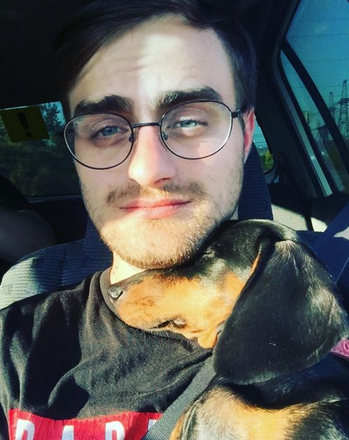     (8 )