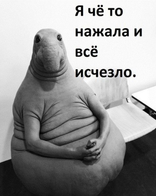         (11 )
