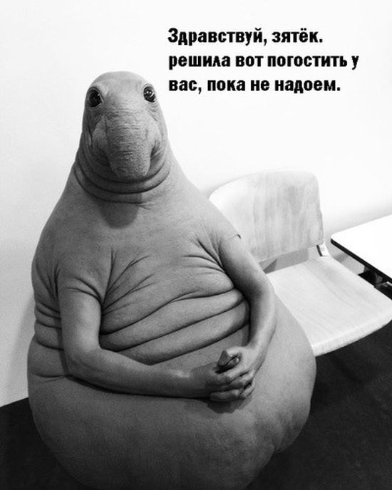         (11 )