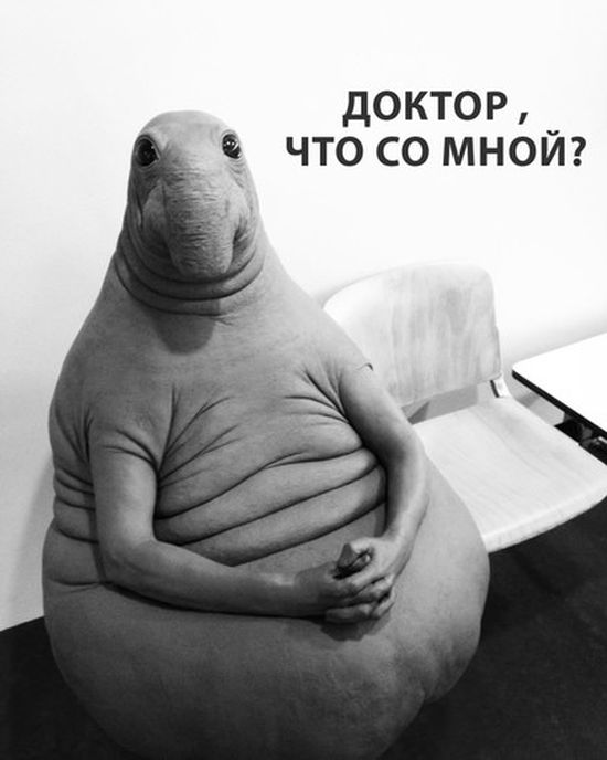         (11 )