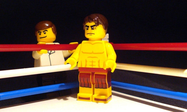    Lego (29 )