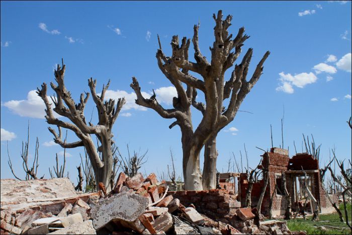 Epecuen -   (33 )