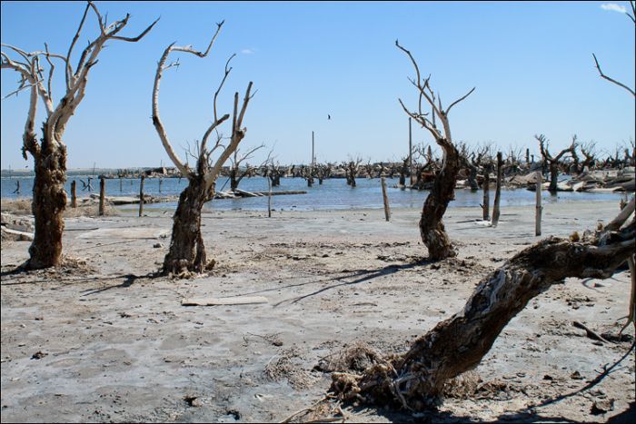 Epecuen -   (33 )