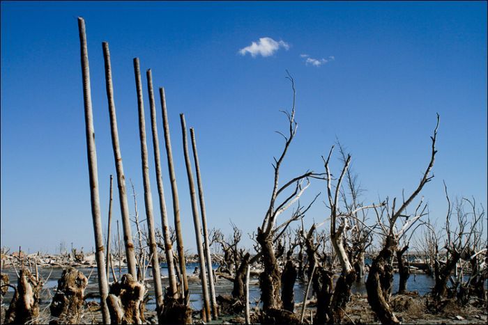 Epecuen -   (33 )