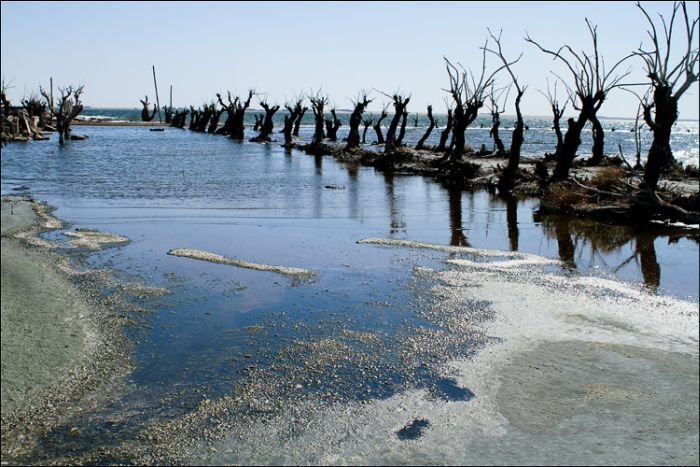 Epecuen -   (33 )