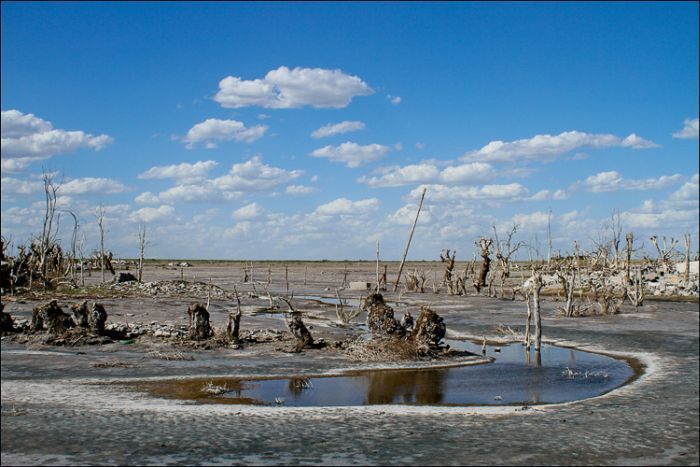 Epecuen -   (33 )