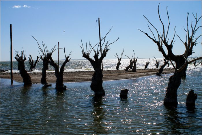 Epecuen -   (33 )