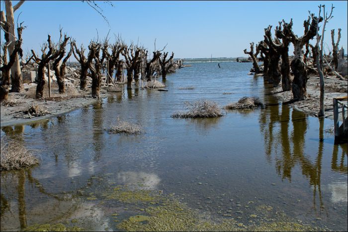 Epecuen -   (33 )