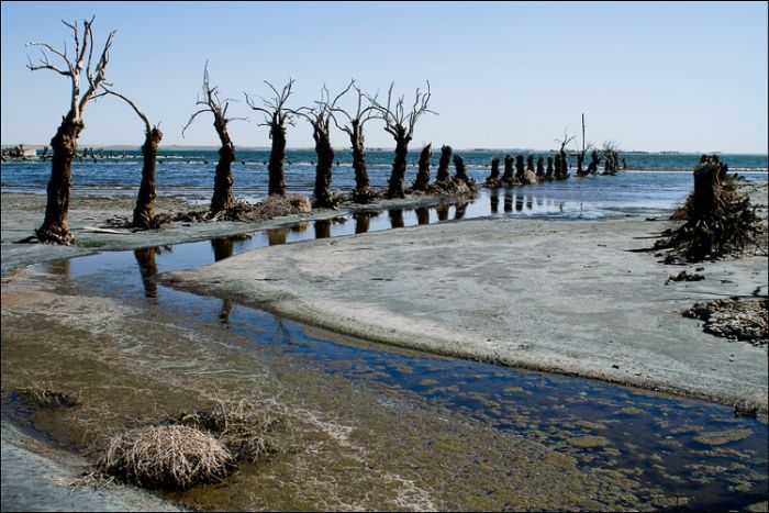 Epecuen -   (33 )