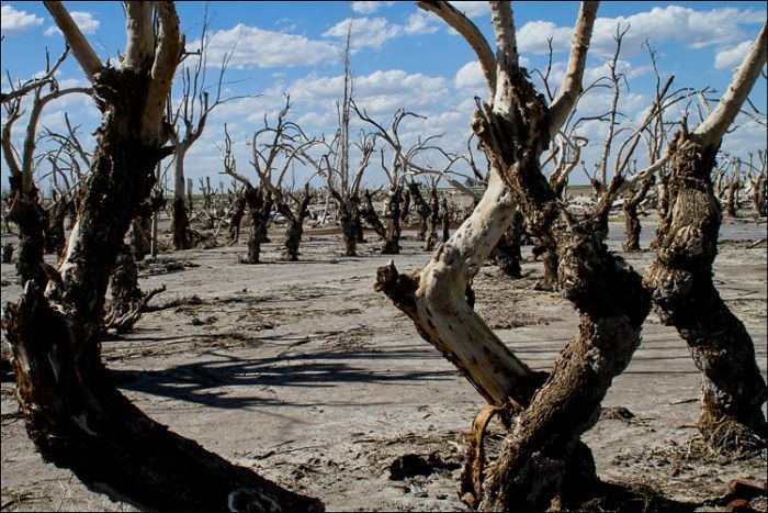 Epecuen -   (33 )