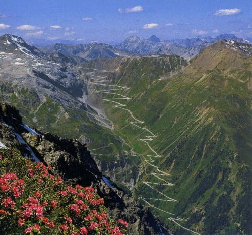 Stelvio Pass -   (11 )