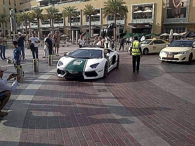       Lamborghini Aventador (5 )