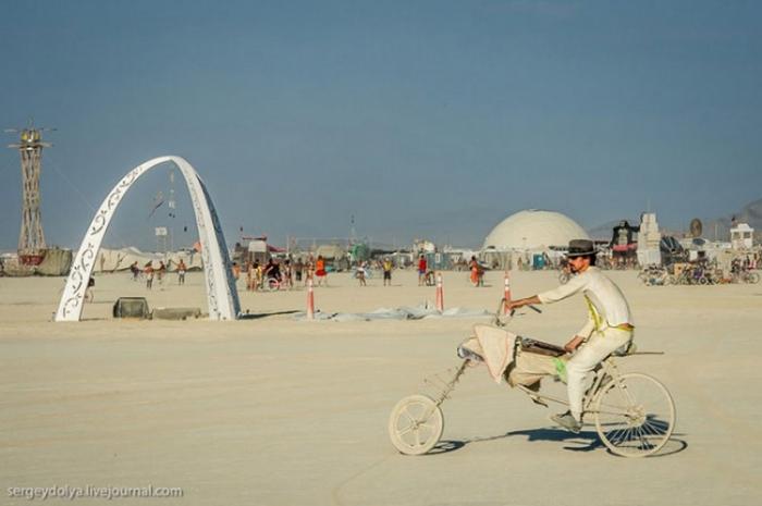      Burning Man (37 )