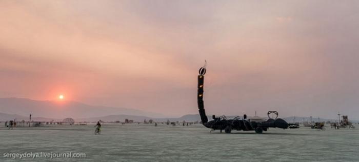      Burning Man (37 )