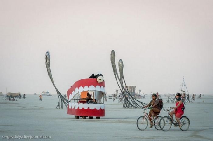      Burning Man (37 )