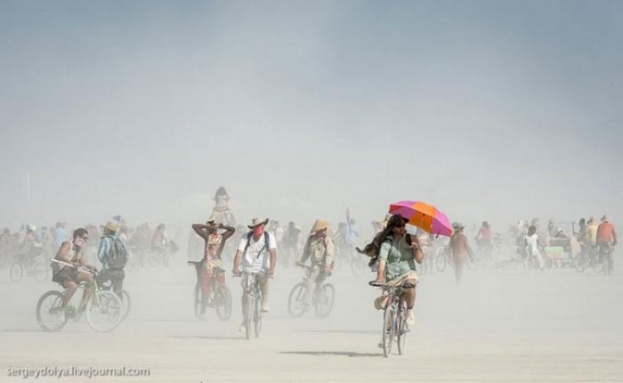      Burning Man (37 )