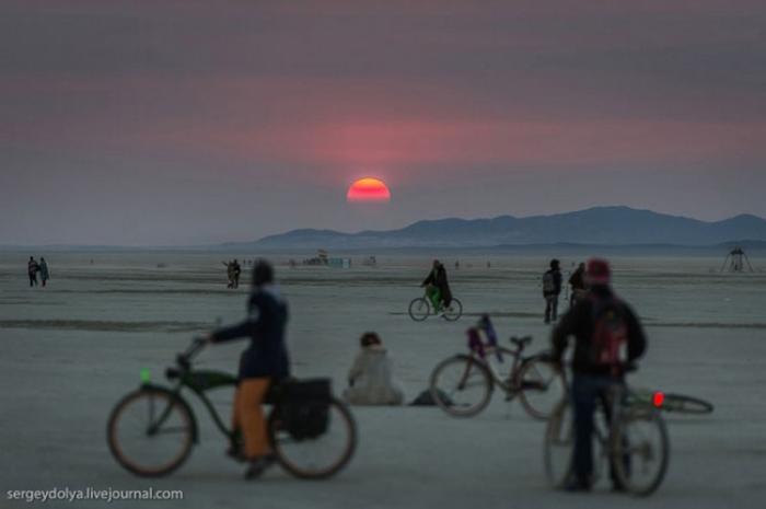      Burning Man (37 )