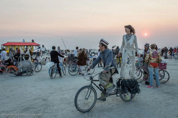      Burning Man (37 )