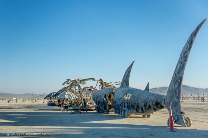      Burning Man (37 )