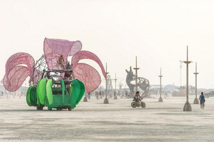      Burning Man (37 )