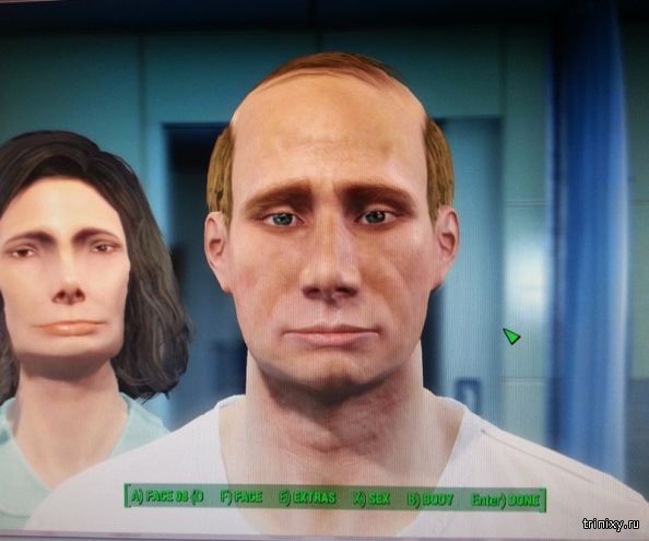       Fallout 4 (9 )