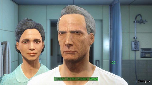       Fallout 4 (9 )