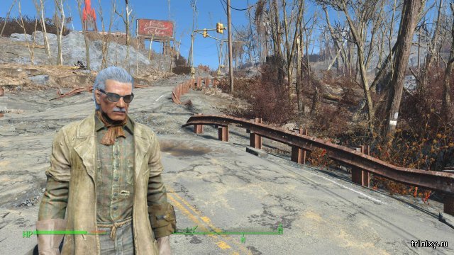       Fallout 4 (9 )