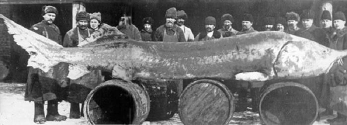 Интересные факты о Каспийском море (15 фото) Интересные факты о Каспийском море (15 фото)