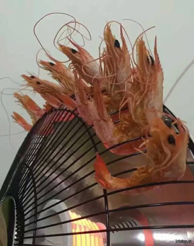      (4 )