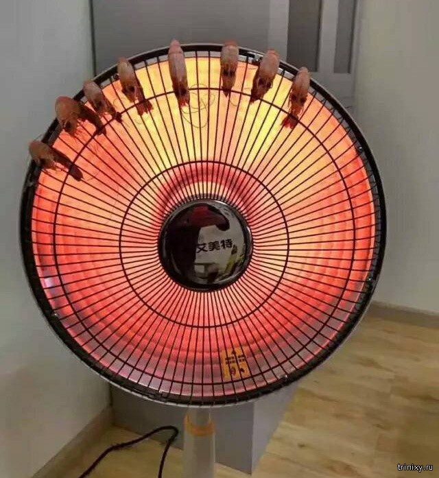      (4 )