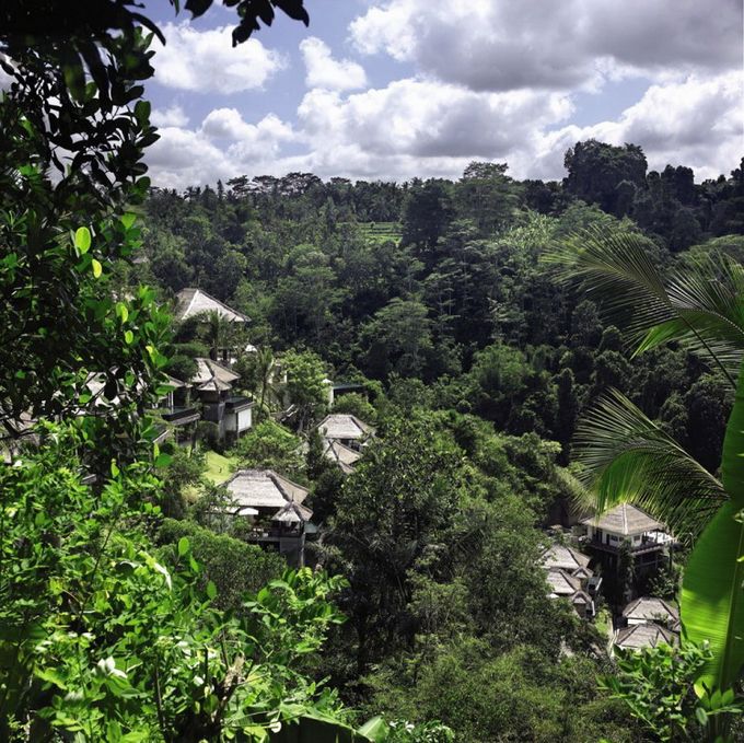  Ubud Hanging Gardens   (13 )