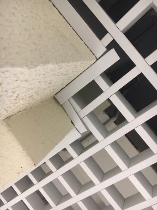 -  - (29 )