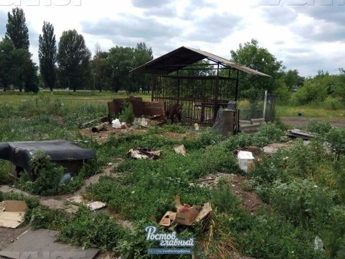В Новошахтинске в заброшенном зоопарке голодают животные (6 фото) В Новошахтинске в заброшенном зоопарке голодают животные (6 фото)