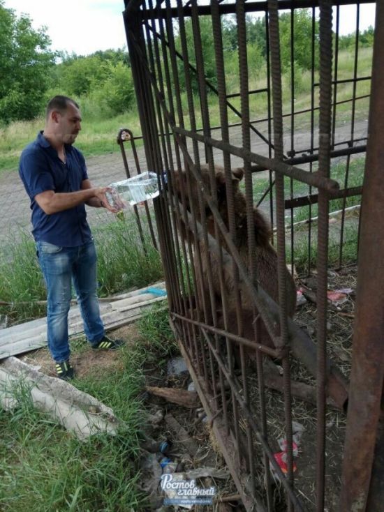 В Новошахтинске в заброшенном зоопарке голодают животные (6 фото) В Новошахтинске в заброшенном зоопарке голодают животные (6 фото)