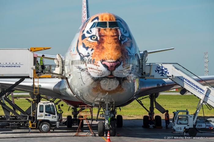 Boeing-747    (20 )