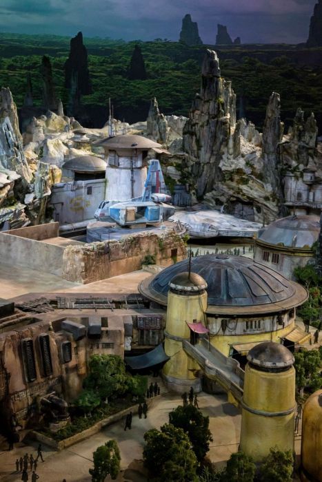   Star Wars Land   Disney (6 )